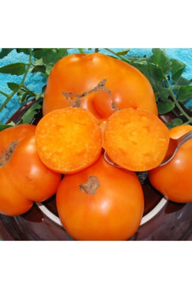 Muka Botanik Kellog's Breakfast Domates Tohumu ürün görseli