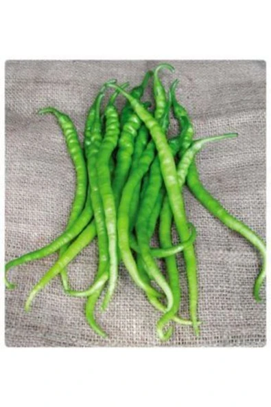 Muka Botanik Acı Kıl Biber Tohumu Ekim Seti - Resim 4