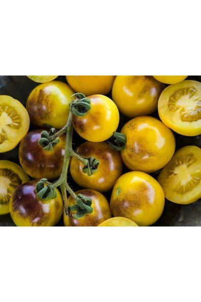 Muka Botanik 10 Adet Bumblebee Domates Tohumu ürün görseli