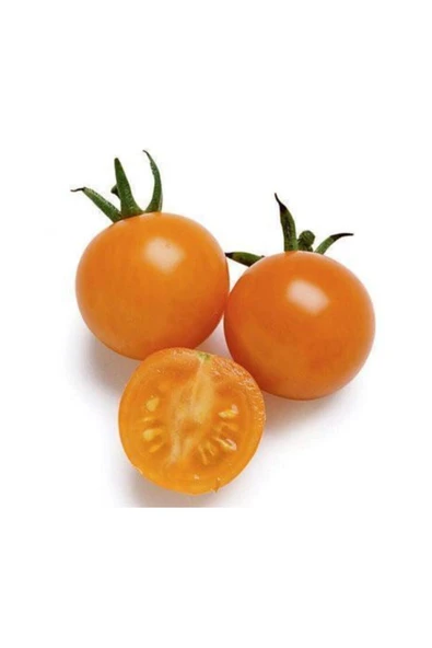 Muka Botanik Ithal Nadit Cherry Turuncu Domates Tohumu 20 Adet Tohum ürün görseli