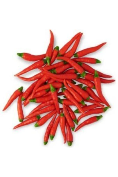 Muka Botanik Ithal Acı Macar Biberi Tohumu Ekim Seti - Resim 5