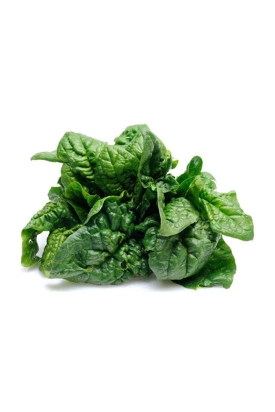 Muka Botanik Agrobazaar Çalı Ispanak 150+ Adet Tohum ürün görseli