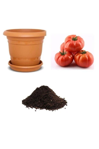 Muka Botanik Meşhur Pileli Köy Domatesi Tohumu Ekim Seti ürün görseli