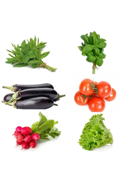 Muka Botanik Tohum Seti, 6 Çeşit Sebze Tohumu (nane, Fesleğen, Patlıcan, Domates, Turp, Marul) Tohumu ürün görseli