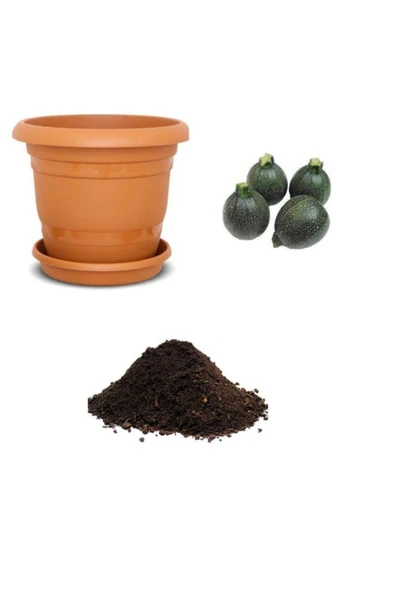 Muka Botanik Nadir Dolmalık Yeşil Kabak Tohumu Ekim Seti ürün görseli