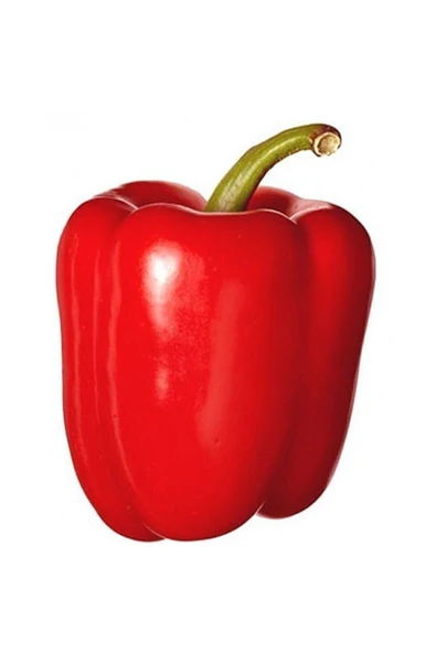 Muka Botanik Büyük Kırmızı Dolmalık Biber Tohumu ürün görseli