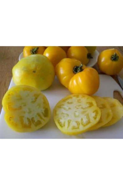 Muka Botanik Dev Italyan Sarı Pileli Domates Tohumu Ekim Seti - Resim 3