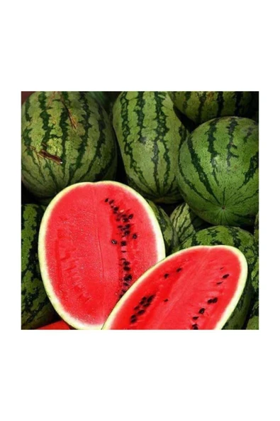 Muka Botanik Meşhur Diyarbakır Karpuzu Tohumu 5 Adet Tohum Karpuz Tohumu - Resim 2