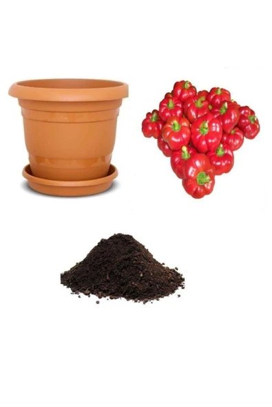 Muka Botanik Tatlı Domates Biberi Tohumu Ekim Seti ürün görseli