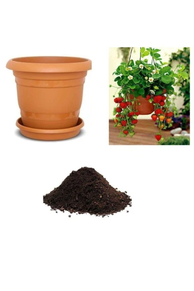 Muka Botanik 4 Mevsim Yediveren Çilek Tohumu Ekim Seti ürün görseli