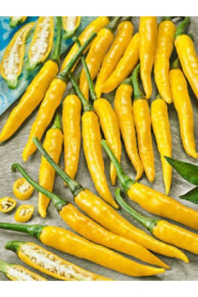 Muka Botanik Meşhur Sarı Stone Turşuluk Biber Tohumu Ekim Seti - Resim 2