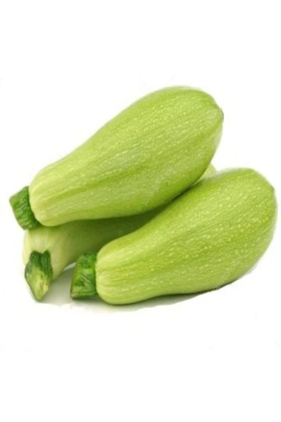 Muka Botanik Dolmalık Kabak Tohumu Ekim Seti - Resim 2