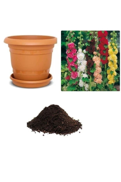 Muka Botanik Altea Malvone Çiçeği Tohumu Ekim Seti ürün görseli