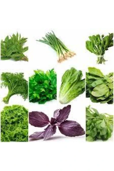 Muka Botanik 1000 Adet Muhteşem Yeşillik Tohumu Paketi-10 Farklı Çeşit ürün görseli