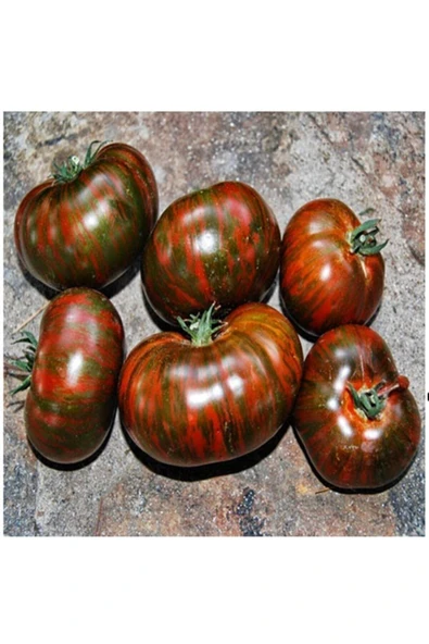 Muka Botanik 20 Adet Dev Kahverengi Domates Tohumu ürün görseli