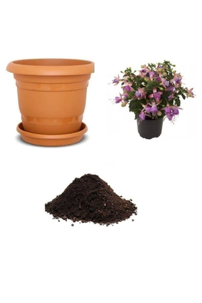 Muka Botanik Mor Küpeli Çiçeği Tohumu Ekim Seti 5 ürün görseli