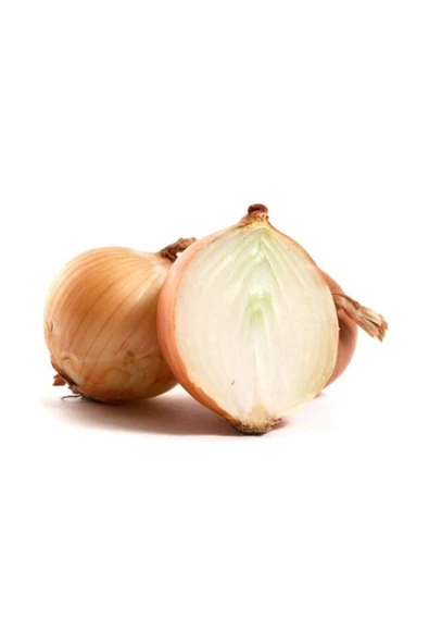 Muka Botanik Agrobazaar Onion Soğan* 50+ Tohum ürün görseli