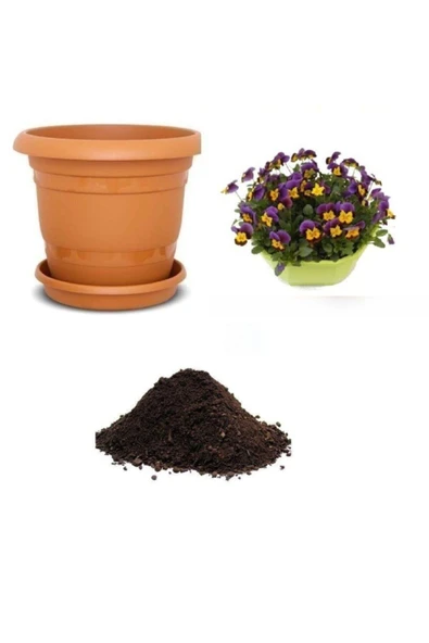 Muka Botanik Karışık Hercai Menekşe Çiçeği Tohumu Ekim Seti ürün görseli