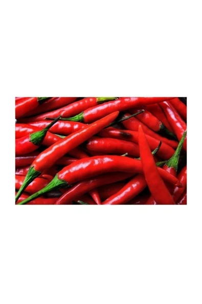 Muka Botanik Agrobazaar Cin Biberi Tohumu 50+ Adet Tohum - Resim 2