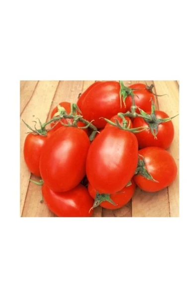Muka Botanik Roma Domates 15 Tohum ürün görseli