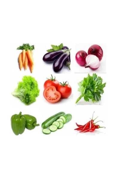 Muka Botanik Çeşitli Sebze 9 Farklı Çeşit Sebze Tohumu 60+ Tohum ürün görseli