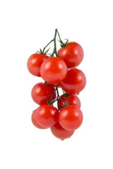 Muka Botanik Nadir Beşdeli Erkenci Domates Tohumu Ekim Seti - Resim 2