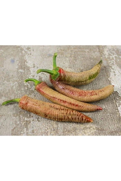 Muka Botanik Rezha Macedonian Acı Biber Tohumu ürün görseli