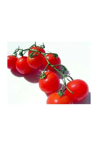 Muka Botanik Agrobazar Delıcıous Salkım Cherry Domates Ortalama 25+ Tohum - Resim 2