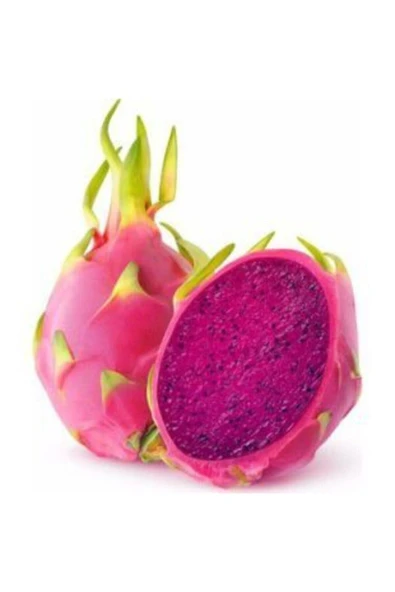 Muka Botanik Tropikal Kırmızı Ejder Meyvesi Tohumu Ekim Seti - Resim 2