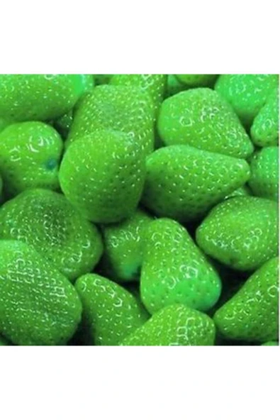 Muka Botanik 20 Adet Yeşil Çilek Tohumu ürün görseli