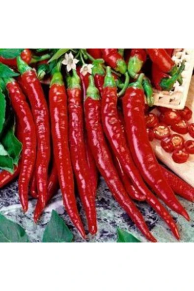 Muka Botanik Uzun Kırmızı Tatlı Sivri Biber Tohumu Ekim Seti - Resim 5