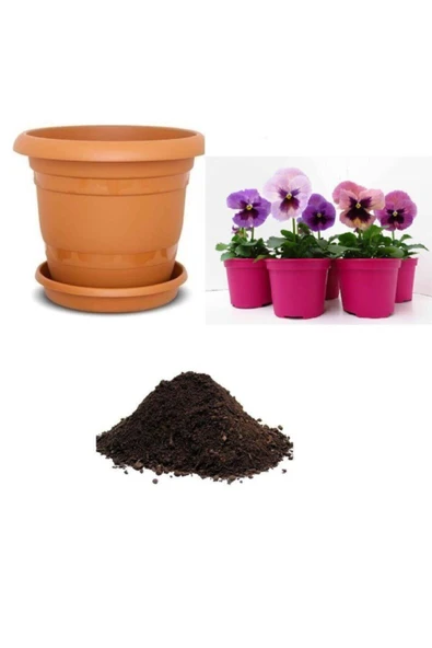 Muka Botanik Ithal Karışık Viola Pensiero Çiçeği Tohumu Ekim Seti ürün görseli