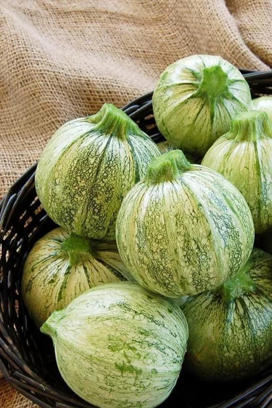 Muka Botanik Beyaz Topak Kabak Tohumu / 5+ Adet Tohum ürün görseli