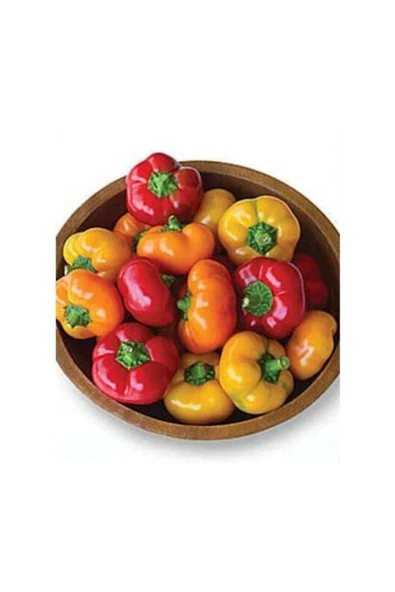 Muka Botanik Peynir Biberi Tohumu / 10+tohum - 2