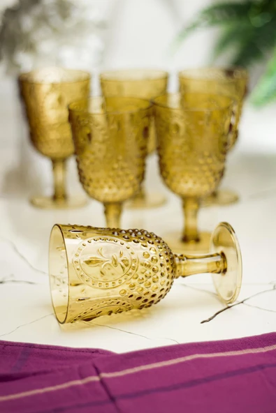 Akrilik Amber 6'lı Kadeh & Su Meşrubat Kahve Yanı Bardağı 450 ml ( Cam Değildir ) ürün görseli 1