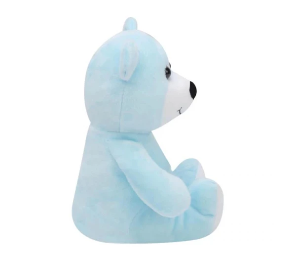 Ayı 20 cm Mavi Pelüş Ayı Çocuk Oyuncak - 3