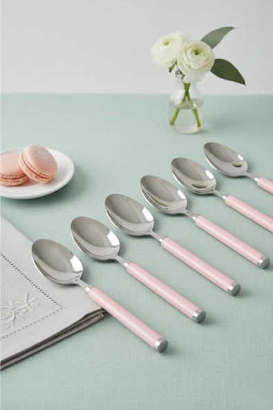 6 lı Paslanmaz Çelik Tatlı Kaşığı Seti Somon Pembe Saplı 15 cm ürün görseli 1
