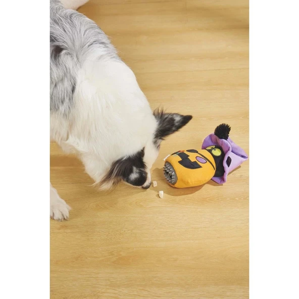 M-Pets Halloween Pumpkin Snack Attack Köpek Oyuncağı - Resim 5
