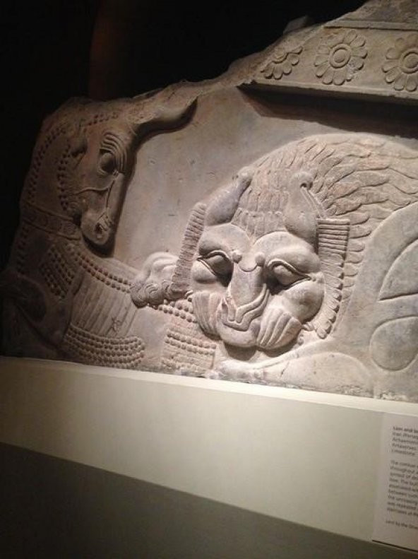 Asur Relief 3D Scan Plastik Aparat - Resim 2