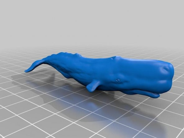 Ž╰(Whale)3D ╰ Plastik Aparat