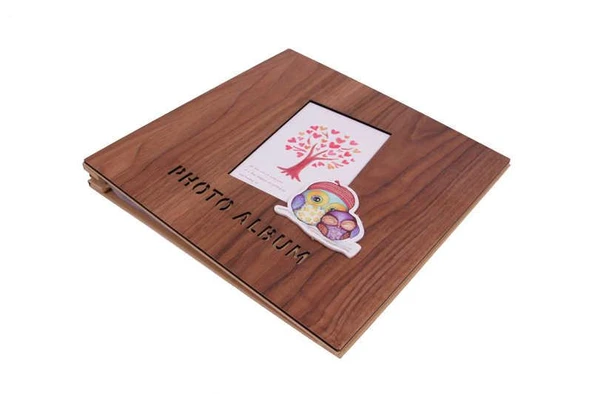 Albüm Ahşap Baykuş Temalı Resim Çerçeveli Hediyelik - Resim 3