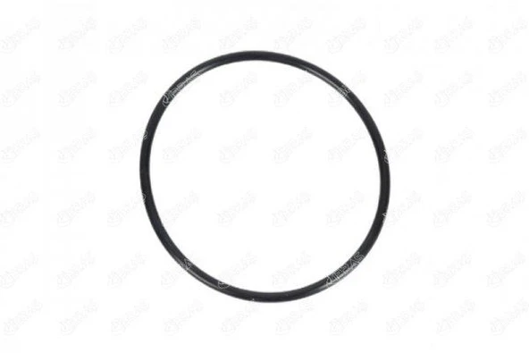 IBRAS 21625 YAKIT POMPA CONTASI VECTRA B 1.6-1.8-2.0 96-02 1254286-90411085 ürün görseli 1