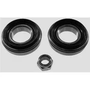 ORS 620507 KIT ÖN TEKER RULMAN KİTİ R12 YM TOROS 620507 SET / KIT100 7701460639-7701450639 ürün görseli 1