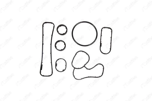 YAĞ FİLTRE CONTA TAKIMI MASTER MOVANO III 2.3 DCİ CDTI 10> TRAFIC VİVARO II 2.0 DCİ CDTI KALEOS 4X4  7701478541 ürün görseli