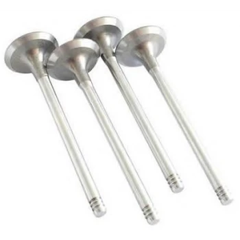 Renault Motor Egsoz Subap Clio Kangoo Megane 1,5dci K9k (4 Adet) - Maıs 132024905r ürün görseli