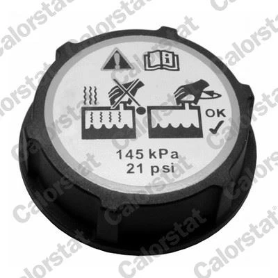 VERNET RC0150 YEDEK SU DEPO KAPAGI FREELANDER 2 L359 R.R EVOQUE L538 L551 JAGUAR E-PACE X540 FORD B-MAX C-MAX FIESTA FOCUS GALAXY KUGA MONDEO VOLVO S40 S60 S80 S90 C70 C30 DG938101AA-5193938-3M5H8100A ürün görseli 1