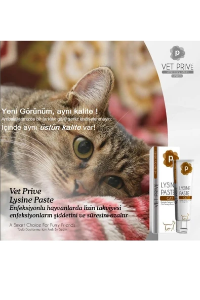 Vet Prive Lysine Paste / Kediler Için Bağışıklık, Solunum Yolu Ve Göz Desteği Pasta - Resim 3