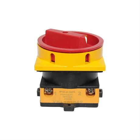 Opaş 2x40A 0-1 Aç-Kapa Kilitli Pako Şalter - YKL201040 ürün görseli 1