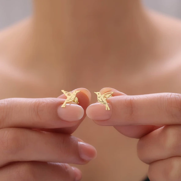 925 Ayar Gümüş Arı Kuşu Küpe ürün görseli 1