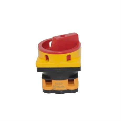 Opaş 1x20a Aç-Kapa Mini Tip Kilitli Pako Şalter - YKL101M20 ürün görseli 1